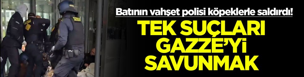 Batının vahşet polisi köpeklerle saldırdı! Tek suçları Gazze'yi savunmak