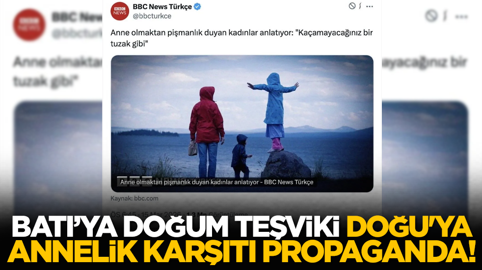 Batı’ya doğum teşviki, Doğu'ya annelik karşıtı propaganda!