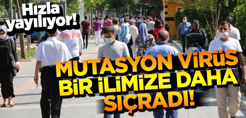 Batman'da mutasyon virüs görüldü