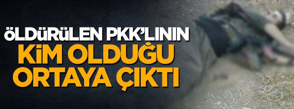 Batman'da öldürülen teröristin 'Gri' listede olduğu ortaya çıktı