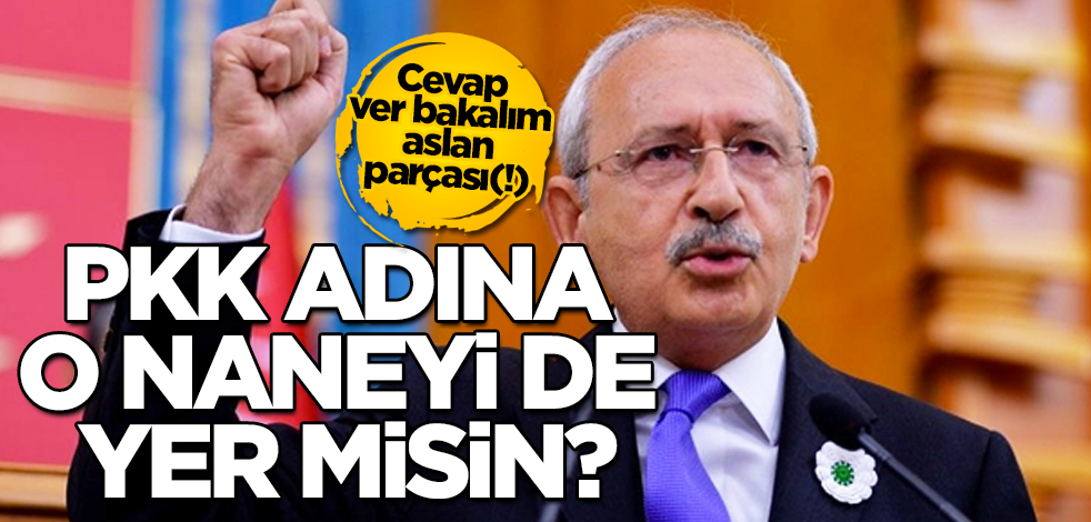 Bay Kemal, PKK adına o naneyi de yer mi?