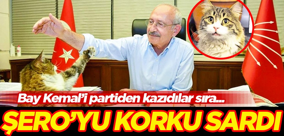 Bay Kemal'i partiden kazıdılar sıra O'na mı geldi! Şero'yu korku saldı...