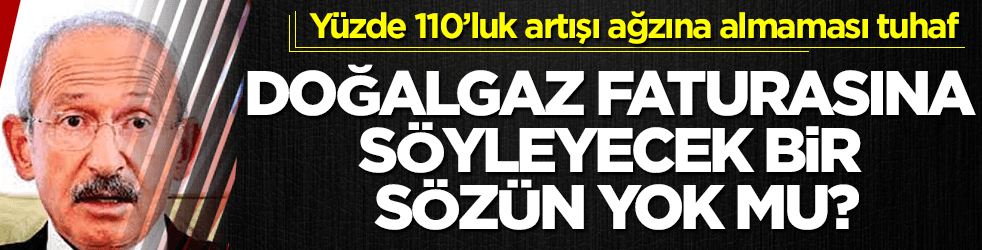 Bay Kemal'in doğalgaz faturasına söyleyecek bir sözü yok mu?