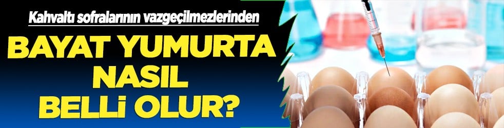 Bayat yumurta nasıl anlaşılır? Test edin: İşte o deney... O su uygulaması