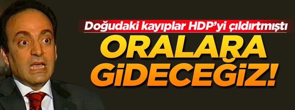 Baydemir: AYM ve AİHM'ye gideceğiz!