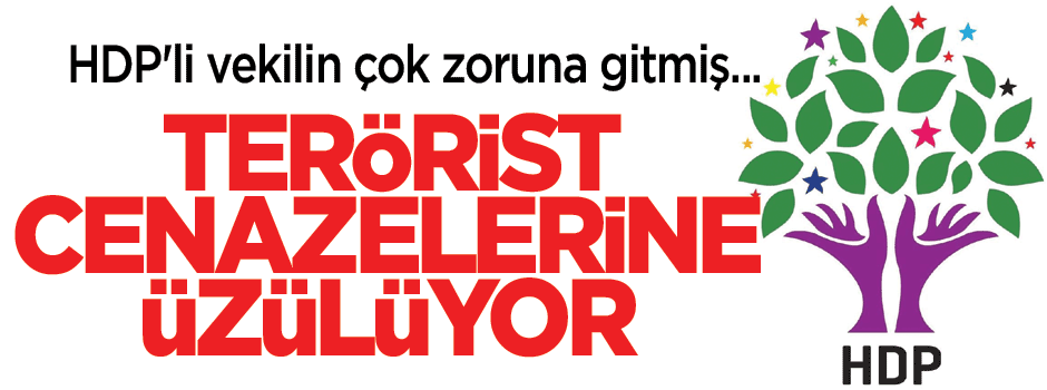 Baydemir'den terörist açıklaması!