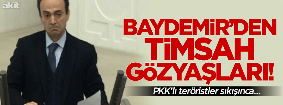 Baydemir’den timsah gözyaşları