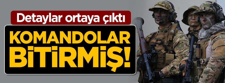 Bayrak indirme operasyonunun detayları ortaya çıktı