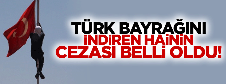 Bayrakı indiren kişinin cezası belli oldu