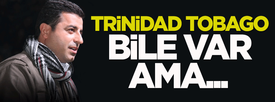 Bayraksız Demirtaş'ın ay-yıldız alerjisi