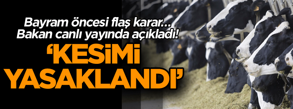 Bayram öncesi flaş karar… Bakan canlı yayında açıkladı! ‘Kesimi yasaklandı’