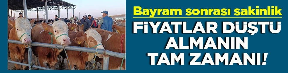 Bayram sonrası sakinlik Fiyatlar düştü almanın tam zamanı
