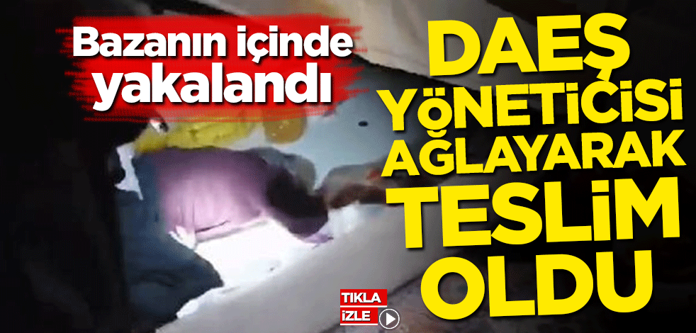 Bazanın içinde yakalandı! DAEŞ yöneticisi ağlayarak teslim oldu