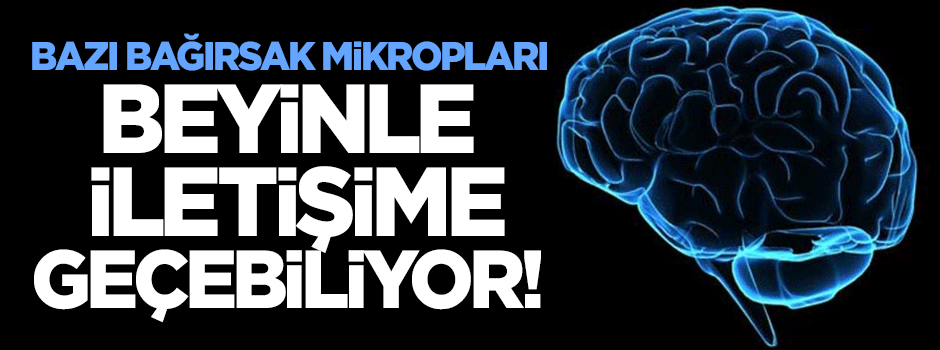 Bazı bağırsak mikropları beyinle iletişime geçebiliyor!
