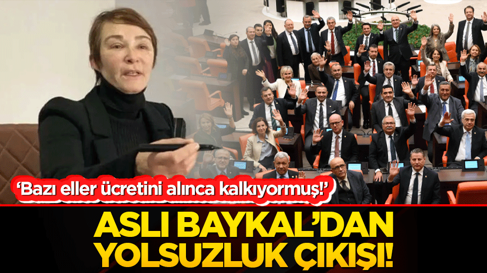 ‘Bazı eller ücretini alınca kalkıyormuş!’ Aslı Baykal’dan yolsuzluk çıkışı!