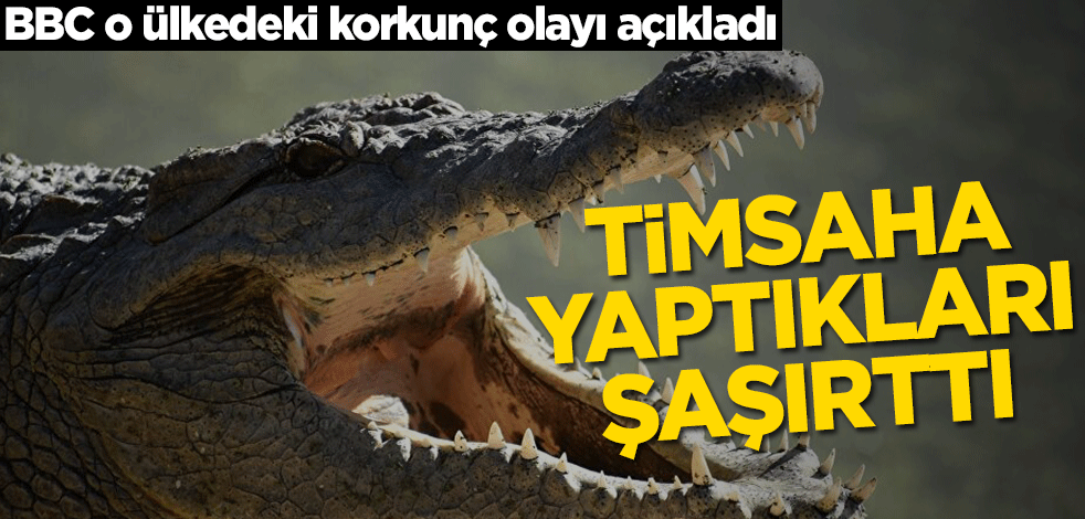 BBC o ülkedeki korkunç olayı açıkladı! Timsaha yaptıkları şaşırttı