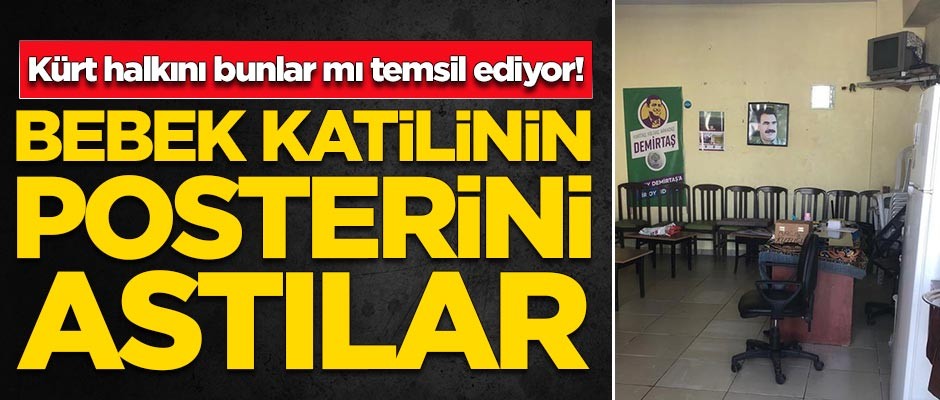 Bebek katili Abdullah Öcalan'ın posterini astılar