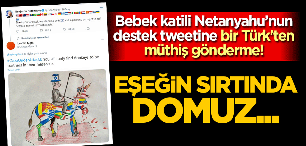 Bebek katili Netanyahu’nun destek twitine bir Türk'ten müthiş gönderme! Eşeğin sırtında domuz...