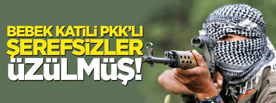 Bebek katili PKK’lı şerefsizler üzülmüş!