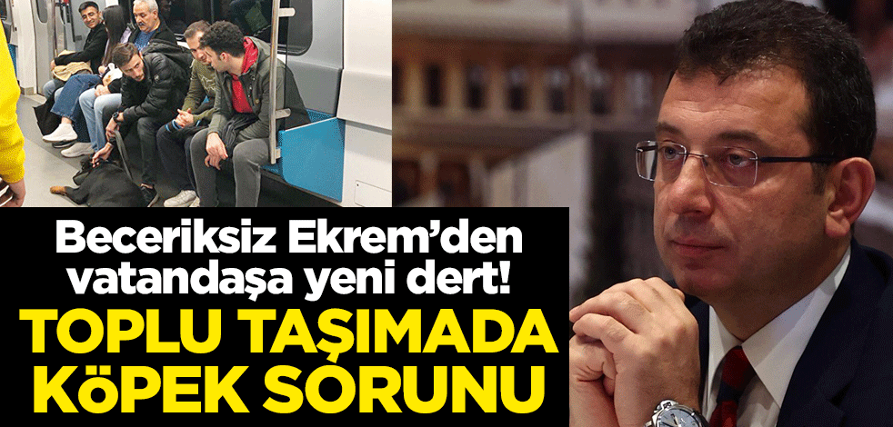 Beceriksiz Ekrem’den vatandaşa yeni dert! Toplu taşımada köpek sorunu