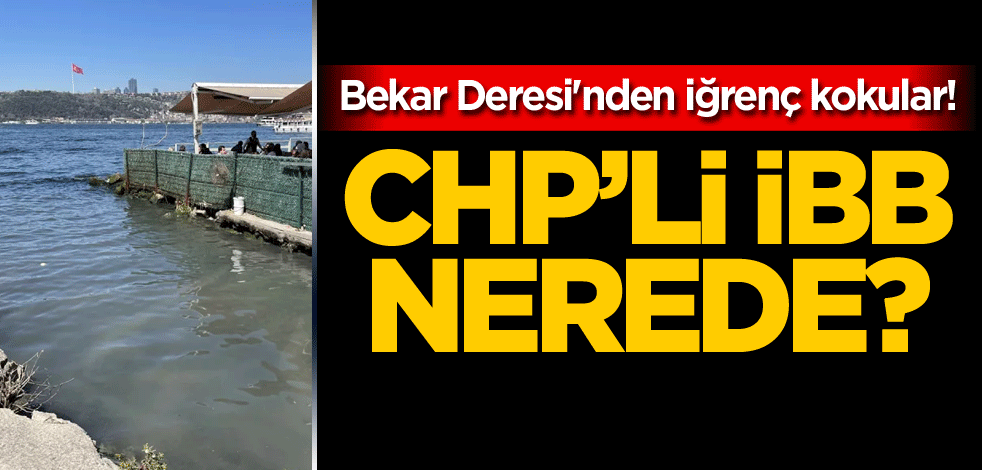 Bekar Deresi'nden iğrenç kokular! CHP'li İBB nerede?