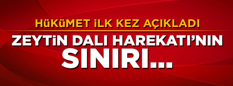 Bekir Bozdağ'dan Zeytin Dalı açıklaması