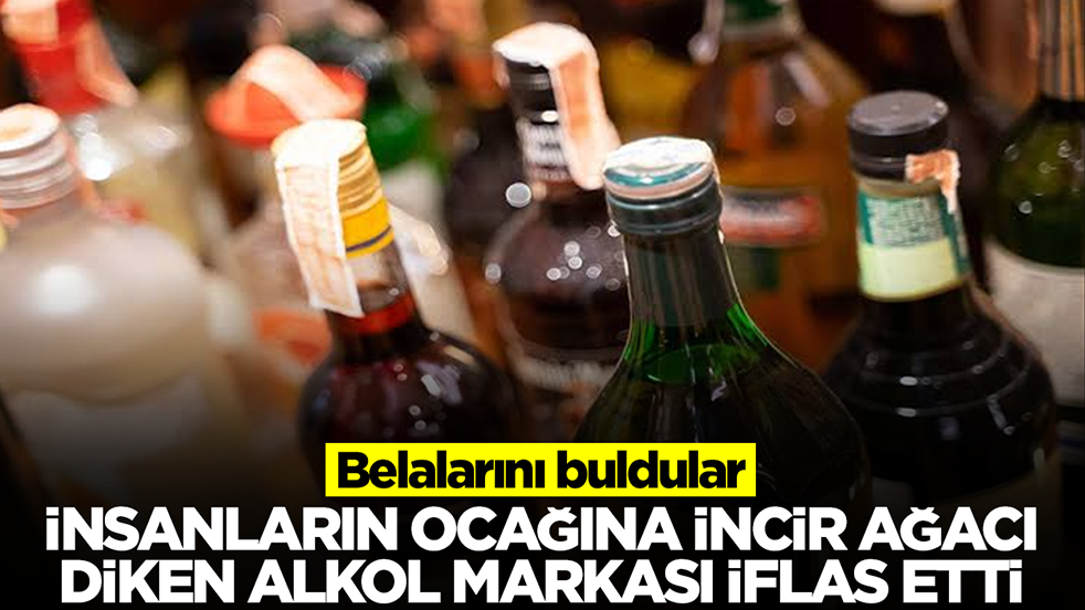 Belalarını buldular: İnsanların ocağına incir ağacı diken alkol markası iflas etti