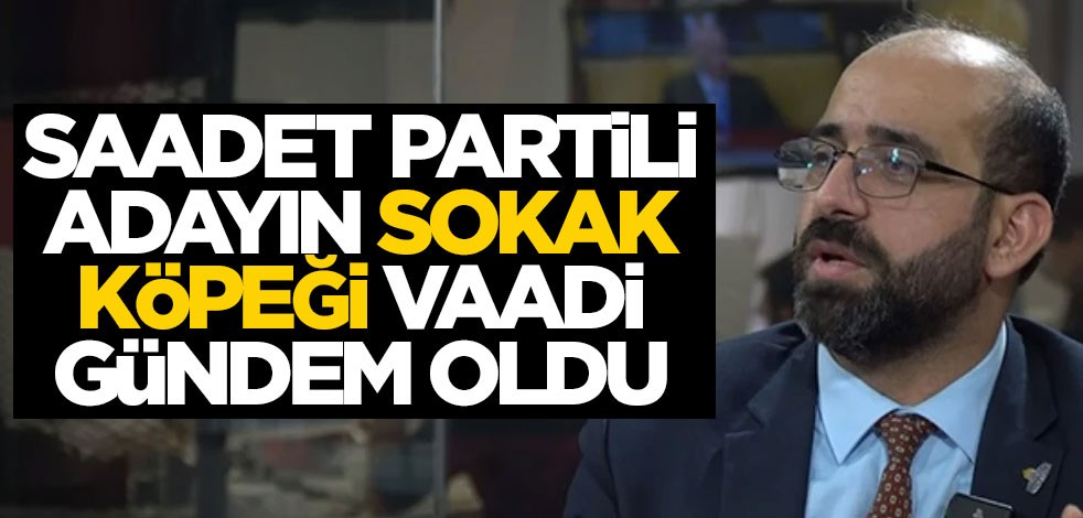 Belediye başkan adayının sokak köpeği vaadi gündem oldu! "Gerekirse uyuturuz"