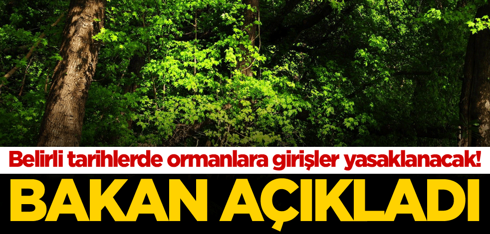 Belirli tarihlerde ormanlara girişler yasaklanacak! Bakan açıkladı