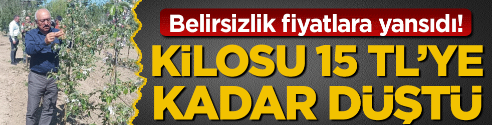 Belirsizlik fiyatlara yansıdı: Kilosu 15 TL'ye kadar düştü!