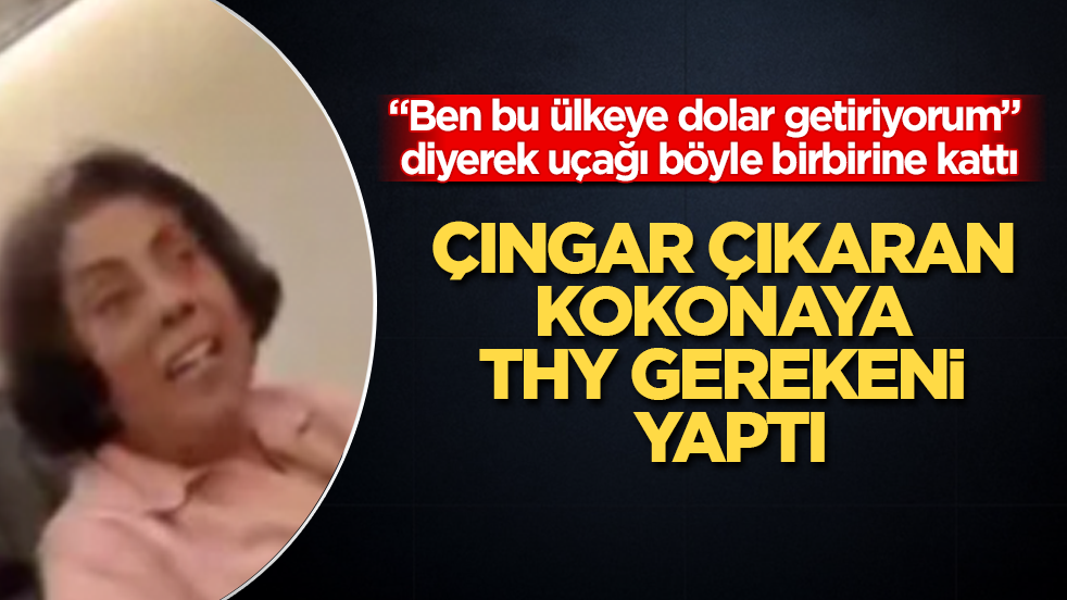 "Ben bu ülkeye dolar getiriyorum" diyerek uçağı böyle birbirine kattı! Çıngar çıkaran kokonaya THY gerekeni yaptı