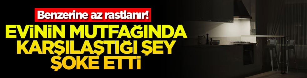 Benzerine az rastlanır! Evinin mutfağında karşılaştığı şey şoke etti