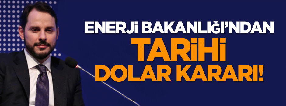 Berat Albayrak'tan dolar açıklaması