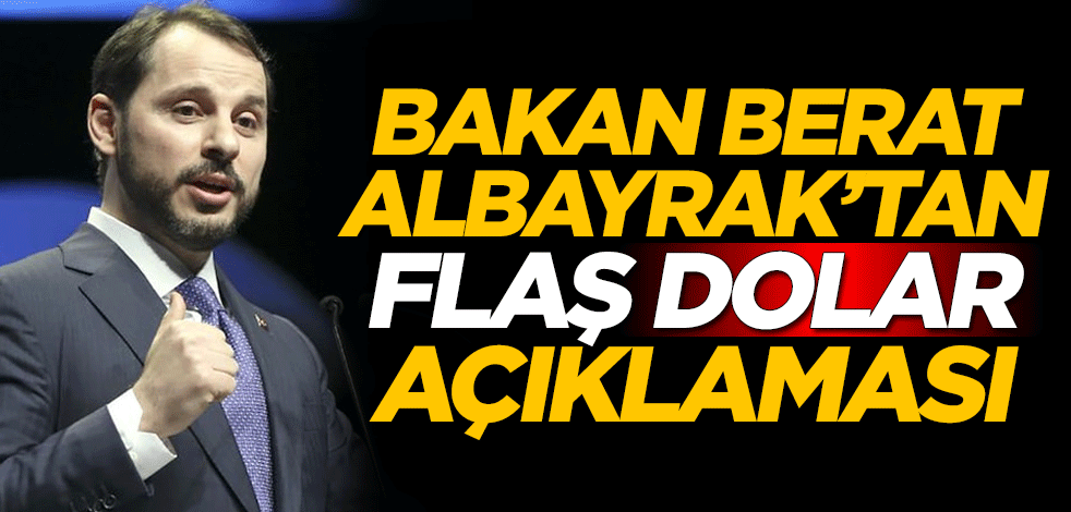 Berat Albayrak'tan flaş dolar açıklaması