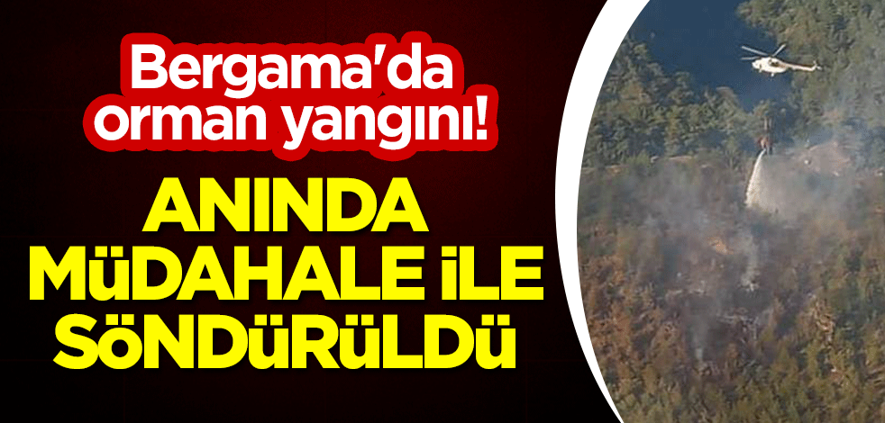 Bergama'da orman yangını! Anında müdahale ile söndürüldü