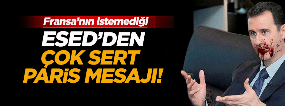 Beşar Esed'den Paris saldırısı açıklaması