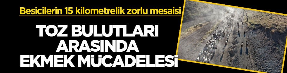 Besicilerin 15 kilometrelik zorlu mesaisi! Toz bulutları arasında ekmek mücadelesi
