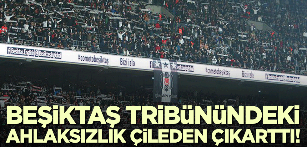 Beşiktaş tribünündeki ahlaksızlık çileden çıkarttı! Semih Yalçın'dan ayrılık açıklaması