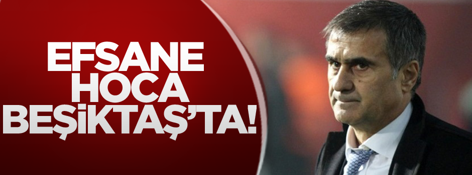 Beşiktaş'ın teknik direktörü açıklandı!