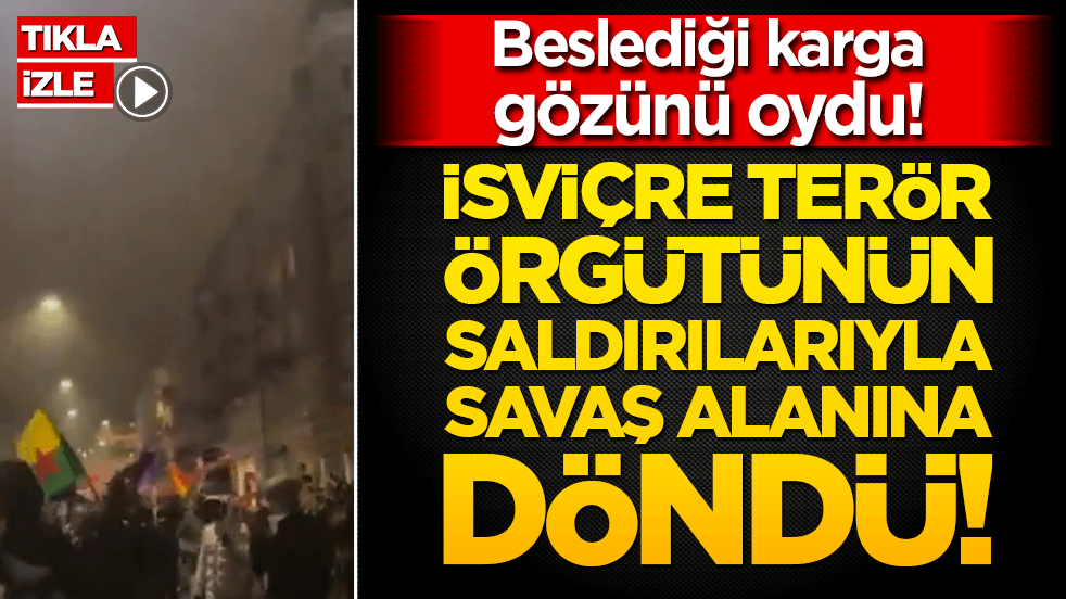 Beslediği karga gözünü oydu! İsviçre terör örgütünün saldırılarıyla savaş alanına döndü!