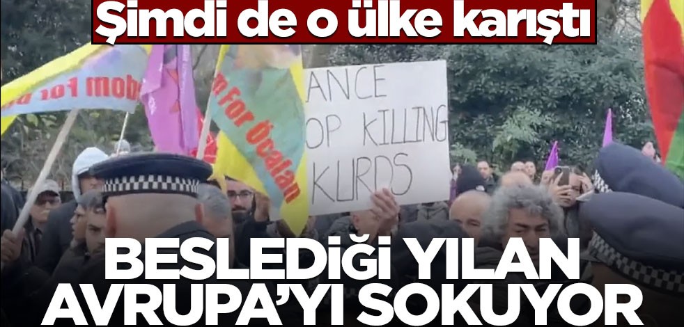Beslediği yılan Avrupa'yı sokuyor! Şimdi o ülke karıştı