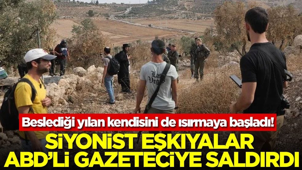 Beslediği yılan kendisini de ısırmaya başladı! Siyonist eşkıyalar ABD’li gazeteciye saldırdı