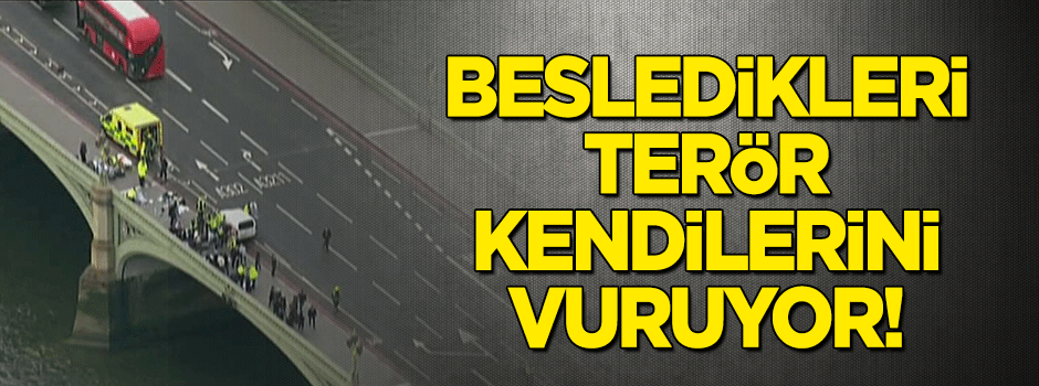 Besledikleri terör kendilerini vuruyor
