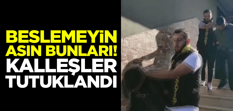Beslemeyin asın bunları! Kalleşler tutuklandı