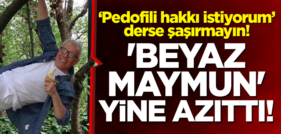 'Beyaz maymun' Ertuğrul Özkök yine azıttı! 'Pedofili hakkı istiyorum' derse şaşırmayın!