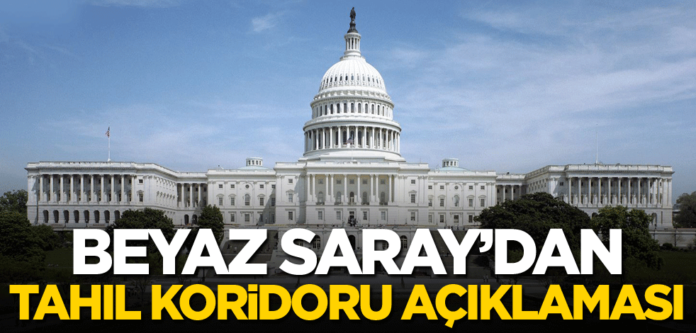 Beyaz Saray'dan tahıl koridoru açıklaması