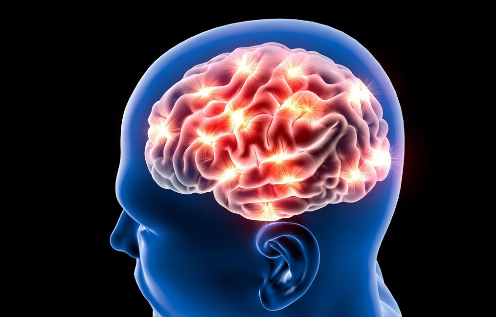 Beyin hücrelerini yenileyen 3 gıda