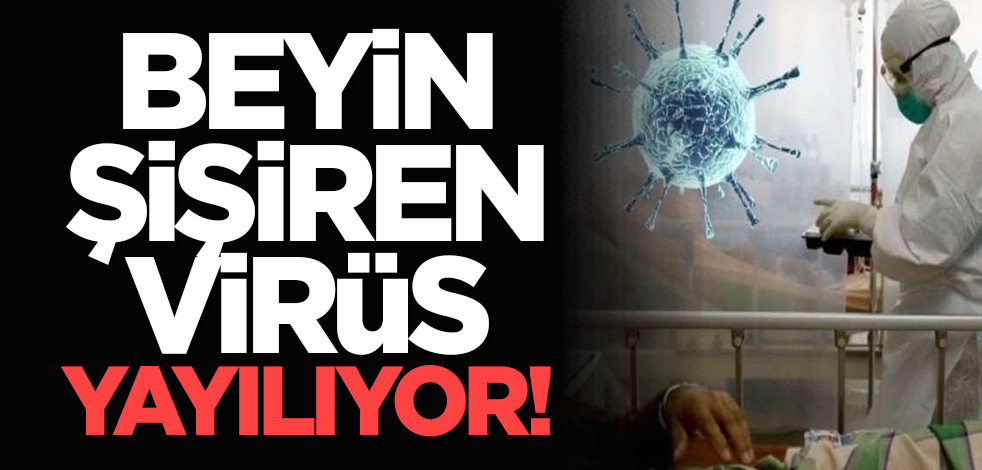 Beyin şişiren virüs yayılıyor!