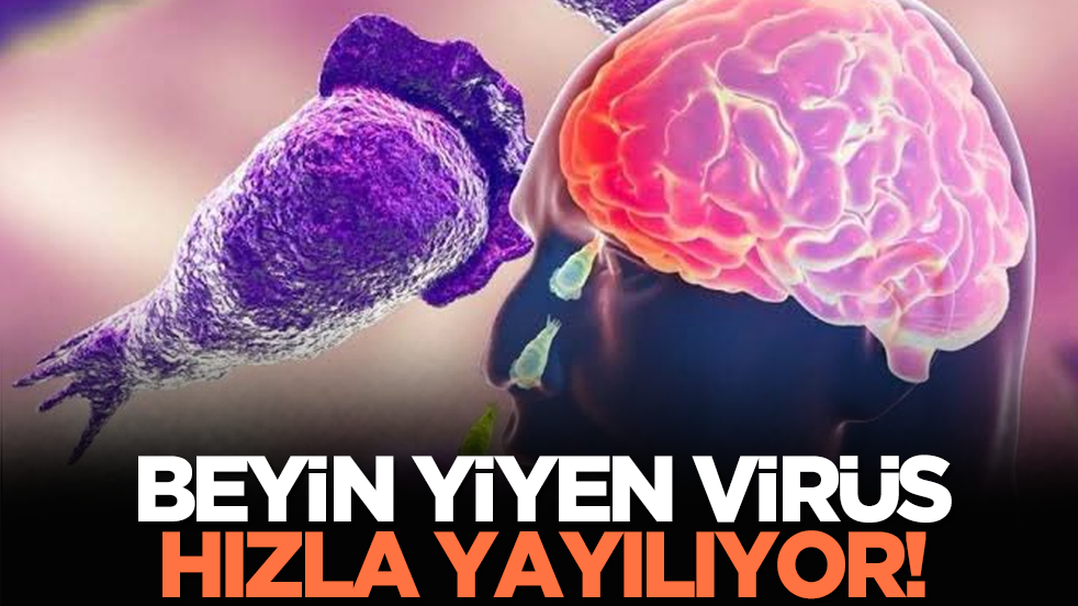 Beyin yiyen virüs hızla yayılıyor!