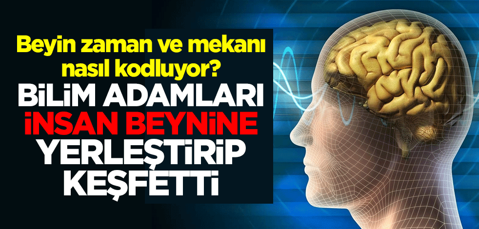 Beyin zaman ve mekanı nasıl kodluyor? Bilim adamları insan beynine yerleştirip keşfetti